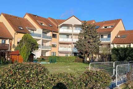Wohnung Ludwigshafen am Rhein Ludwigshafen-Oggersheim - 3 Zimmer, 80 m&sup2;, 269.000&euro; | Angebot:26136362