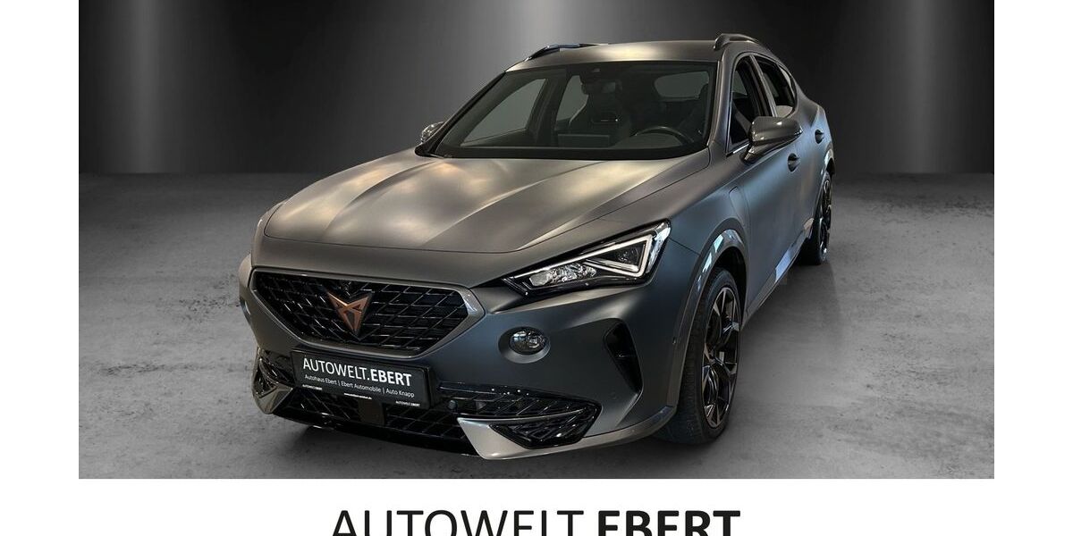 Cupra Formentor 40.390 km 27.990 &euro; Frankenthal 67227