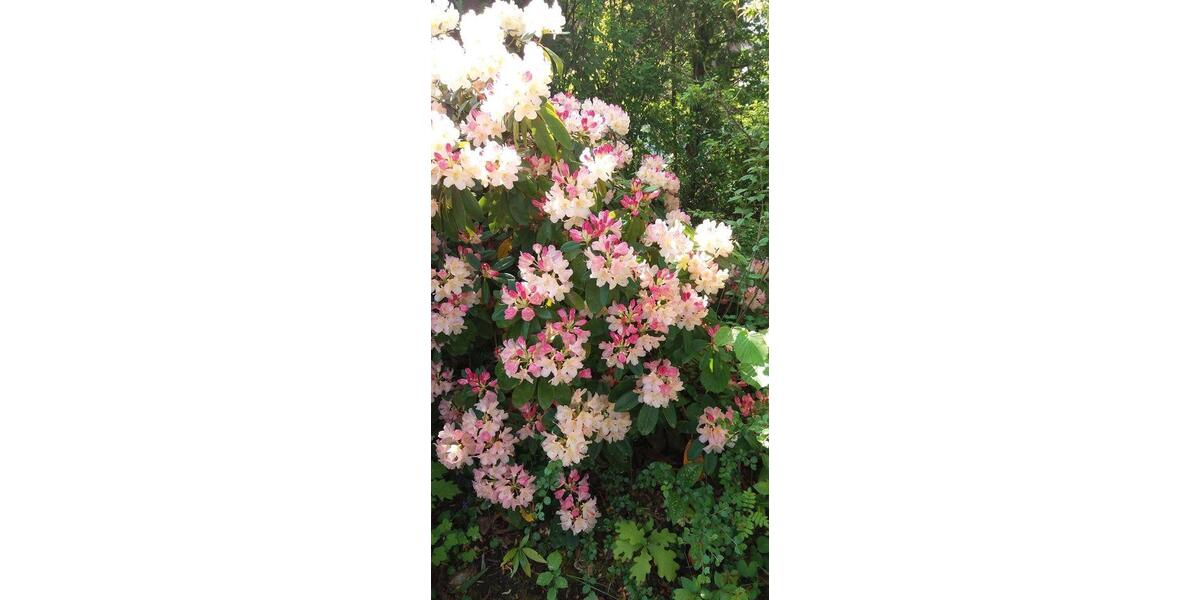 Etagenwohnung Worms - 3 Zimmer, 66 m&sup2;, 470&euro; | Angebot:25380690