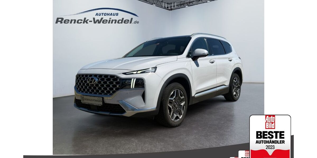 Hyundai SANTA FE 109.847 km 29.989 &euro; Speyer 67346