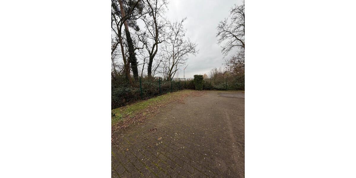 Ladengeschäft in viernheim zum vermieten 60 m2 zimmer