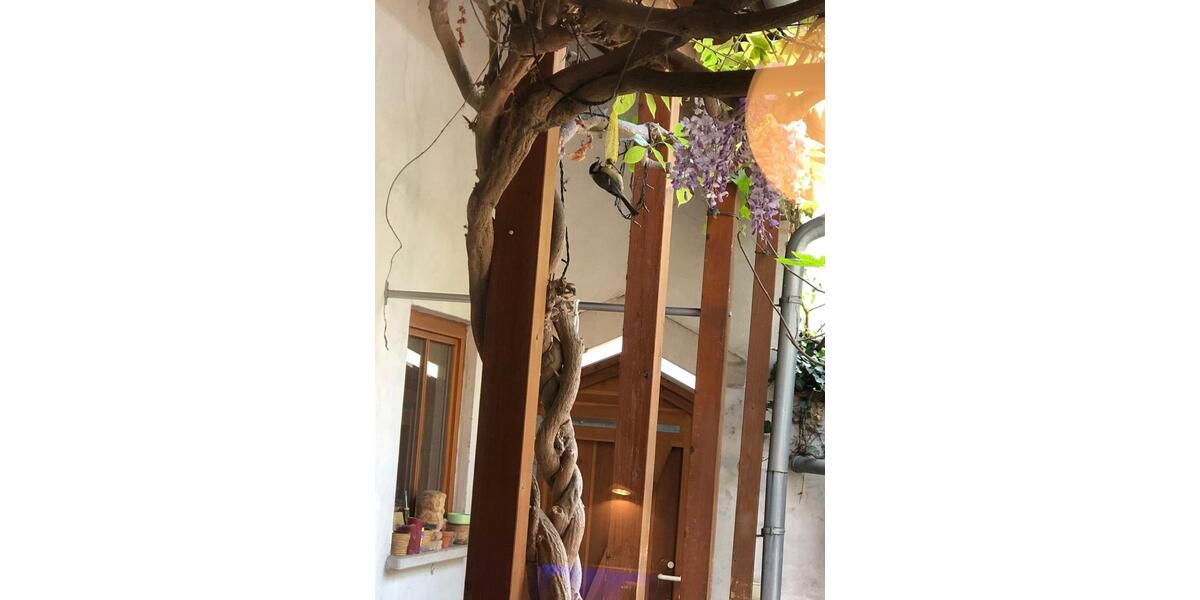 Einfamilienhaus Speyer - 629.000&euro; | Angebot:26169105