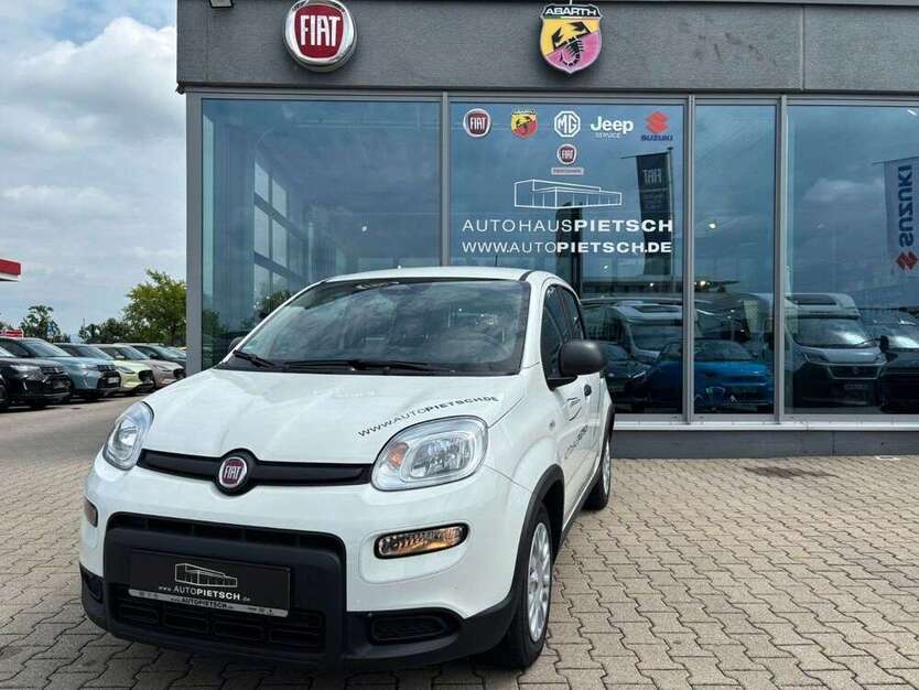 Panda