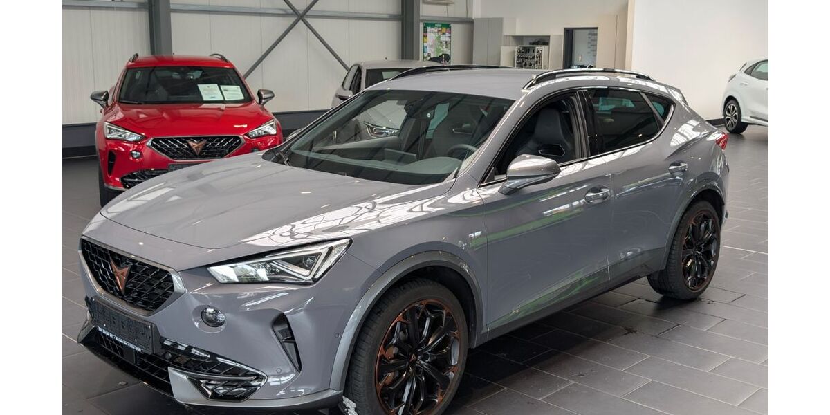 Cupra Formentor 99.000 km 29.900 &euro; Weinheim 69469