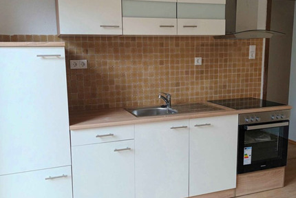 Großes 1-Zi Apt. mit Balkon und EBK 1 zimmer