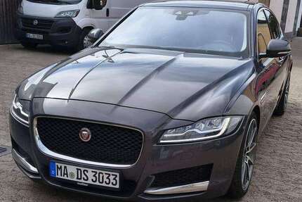 Jaguar XF 172.000 km 16.600 &euro; Mannheim, Universitätsstadt 68239