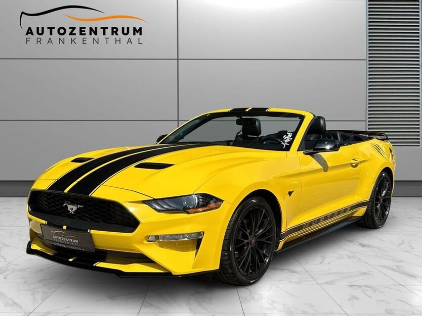 Mustang