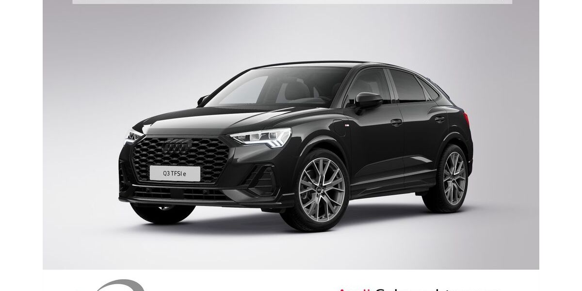 Audi Q3 55.229 km 31.900 &euro; Ludwigshafen 67063