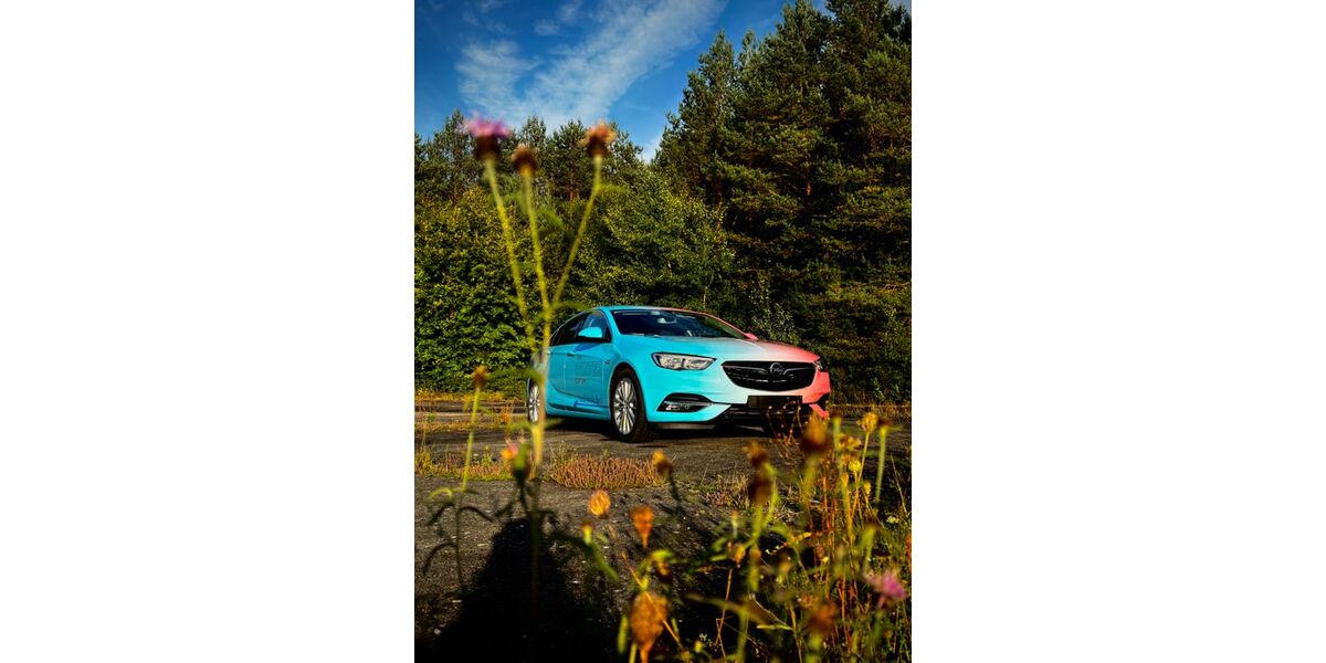 Opel Insignia 77.000 km 24.000 &euro; Ludwigshafen 67069