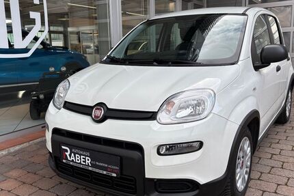 Fiat Panda 41.869 km 9.990 &euro; Neustadt 67433