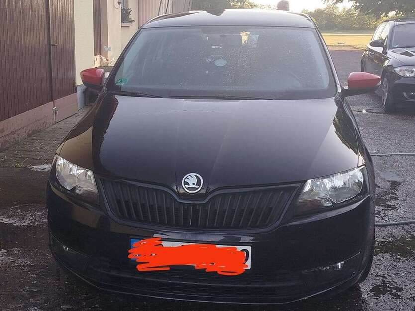 Rapid/Spaceback