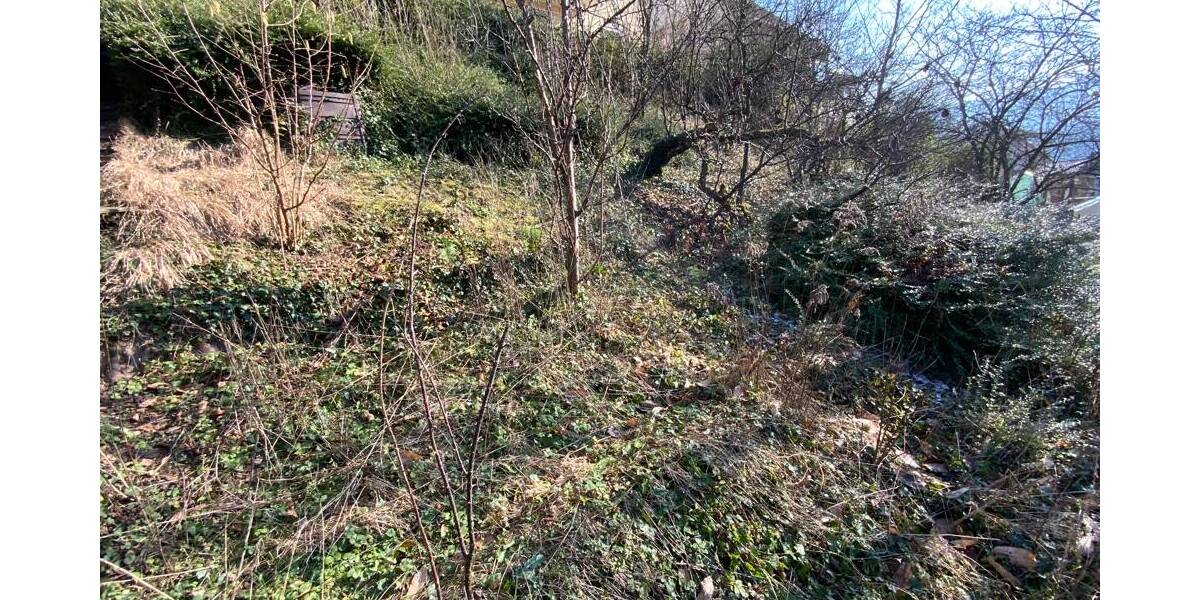 Mehrfamilienhaus, Wohnhaus Heidelberg / Ziegelhausen Ziegelhausen - 1 Zimmer, 205 m&sup2;, 529.000&euro; | Angebot:26142439