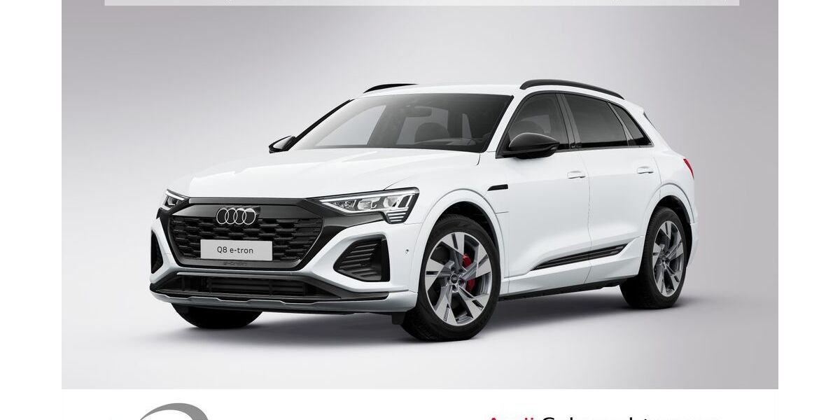 Audi Q8 e-tron 33.927 km 54.490 &euro; Ludwigshafen 67063