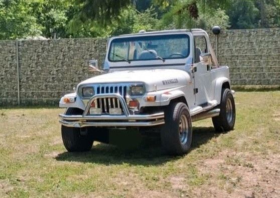 Jeep Wrangler 159.500 km 11.000 &euro; Ludwigshafen 67067