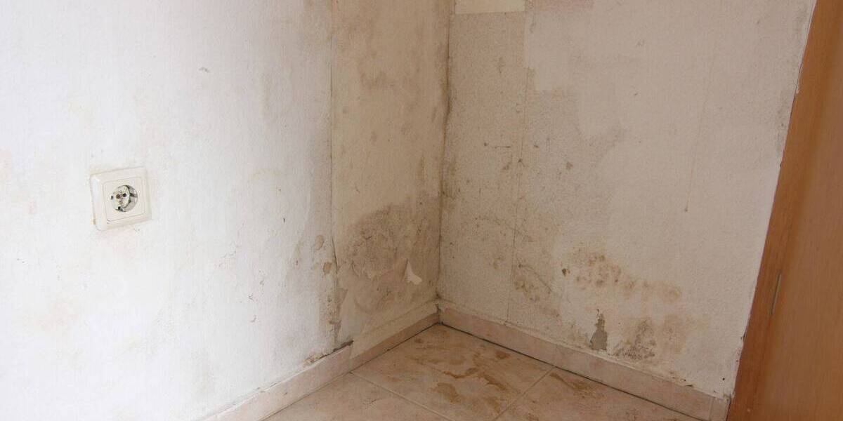 3-Zimmer-Wohnung mit großem Potenzial in zentraler aber grüner Lage von Neckargemünd 3 zimmer