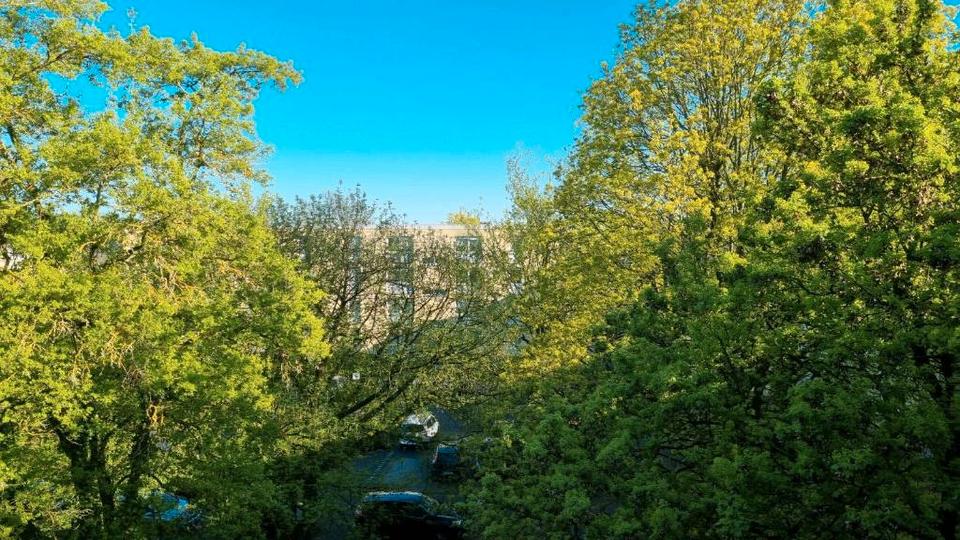 Etagenwohnung Mannheim Käfertal - 3 Zimmer, 78 m&sup2;, 199.999&euro; | Angebot:26228149