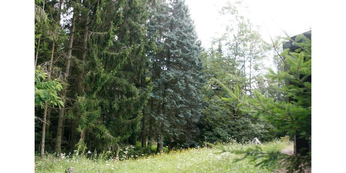 Einfamilienhaus Worms Nördliche Vororte - 4 Zimmer, 69 m&sup2;, 89.000&euro; | Angebot:26321924