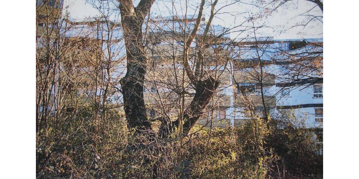 Etagenwohnung Mannheim Feudenheim - 3 Zimmer, 63 m&sup2;, 220.000&euro; | Angebot:25856704