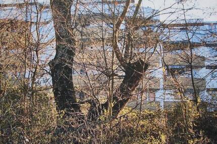 Wohnung Mannheim Feudenheim - 3 Zimmer, 63 m&sup2;, 220.000&euro; | Angebot:25856704