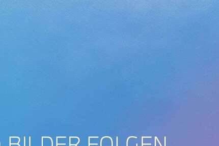 Alpina D5 160.196 km 56.880 &euro; Speyer 67346