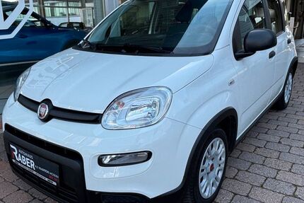 Fiat Panda 53.527 km 9.800 &euro; Neustadt 67433