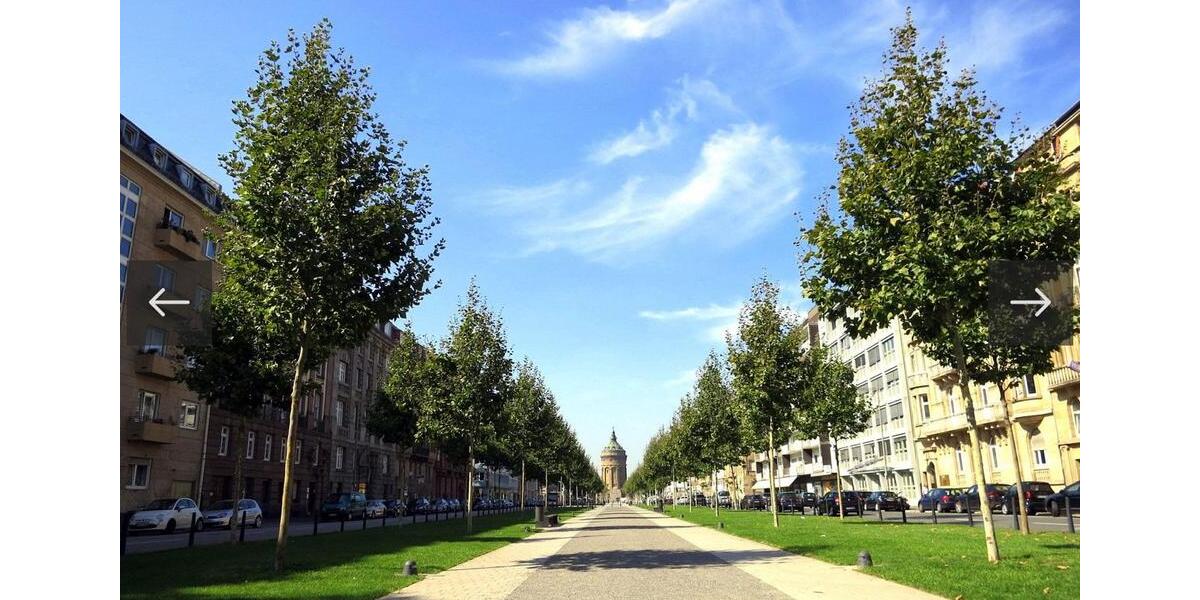 Etagenwohnung Mannheim Feudenheim - 1 Zimmer, 30 m&sup2;, 700&euro; | Angebot:24699902