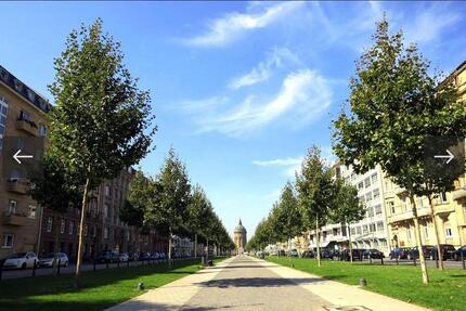 Wohnung Mannheim Feudenheim - 1 Zimmer, 30 m&sup2;, 700&euro; | Angebot:24699902