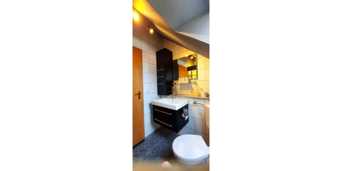 Dachgeschoßwohnung Grünstadt - 2 Zimmer, 60 m&sup2;, 646&euro; | Angebot:25126464