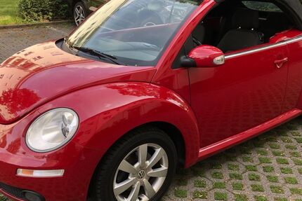 VW Beetle 146.210 km 3.200 € Mannheim 68307