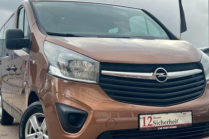 Opel Vivaro 105.400 km 16.950 &euro; Worms 67547