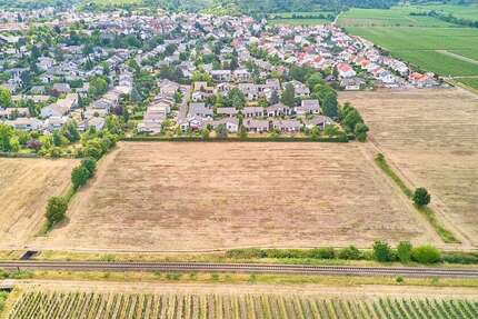 Grundstück zu verkaufen in Wachenheim 429.250 € 505 m²