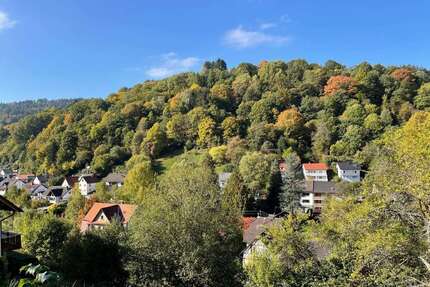 Grundstück Schönau - 69.500&euro; | Angebot:18466886
