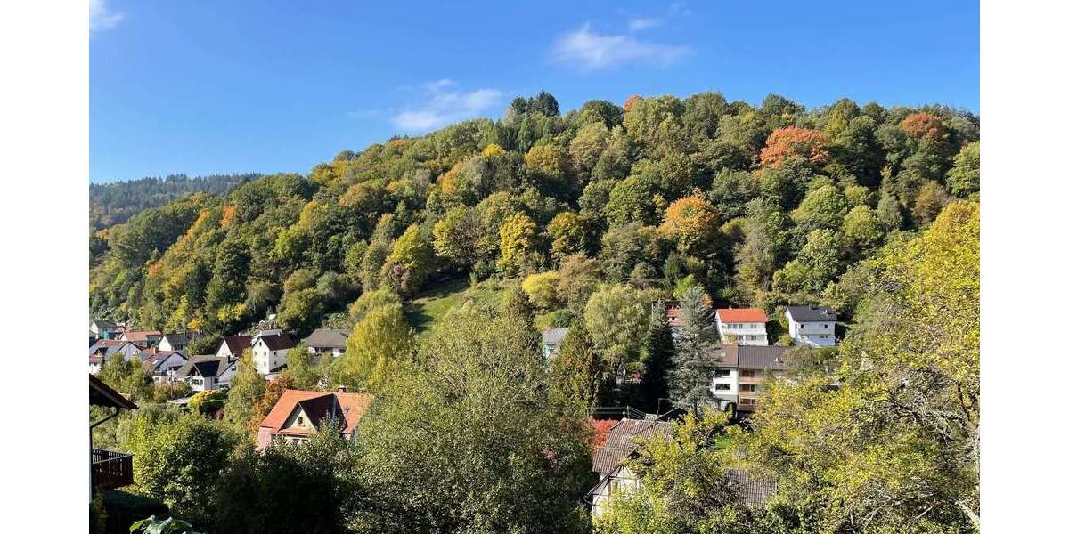 Grundstück Schönau - 69.500&euro; | Angebot:18466886