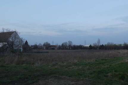 Grundstück zu verkaufen in Dannstadt-Schauernheim 410.000 € 850 m² zimmer