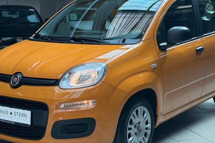 Fiat Panda 15.300 km 10.990 &euro; Mutterstadt 67112