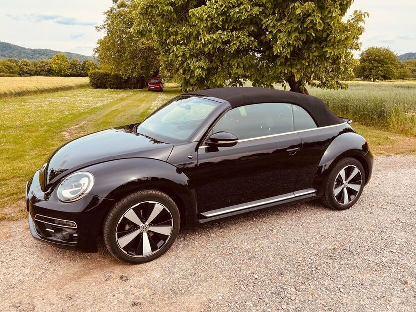 Beetle