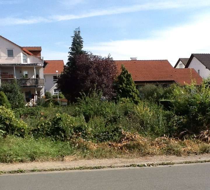 Grundstück zu verkaufen in Gernsheim 600.000 € 591 m²