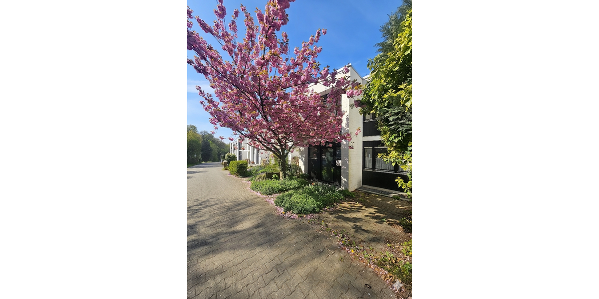 Einfamilienhaus Heidelberg Boxberg - 5.5 Zimmer, 170 m&sup2;, 445.000&euro; | Angebot:26856098