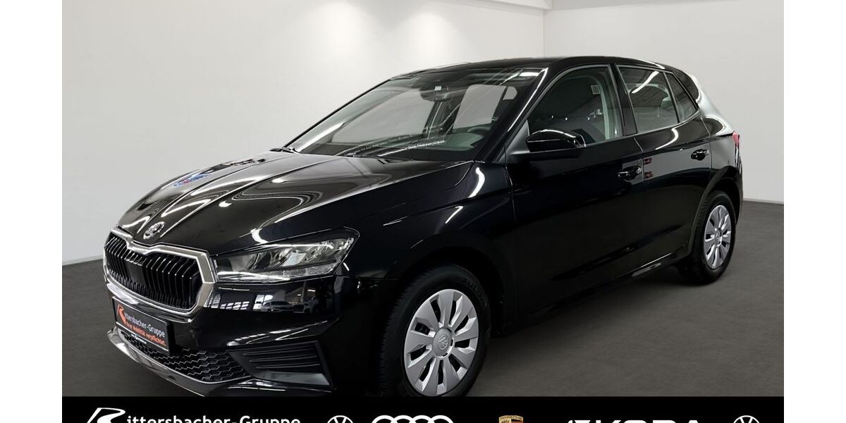 Skoda Fabia 32.189 km 13.930 &euro; Grünstadt 67269