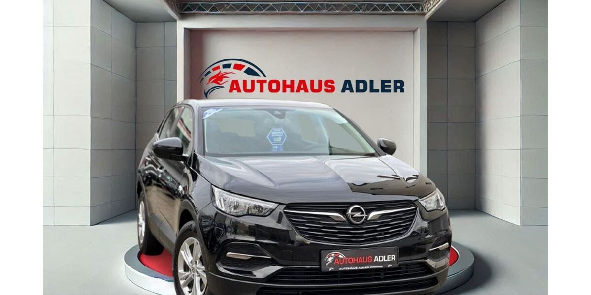 Opel Grandland (X) 119.900 km 9.990 &euro; Worms 67549