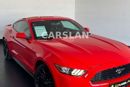 Ford Mustang 117.000 km 19.998 &euro; Worms 67547