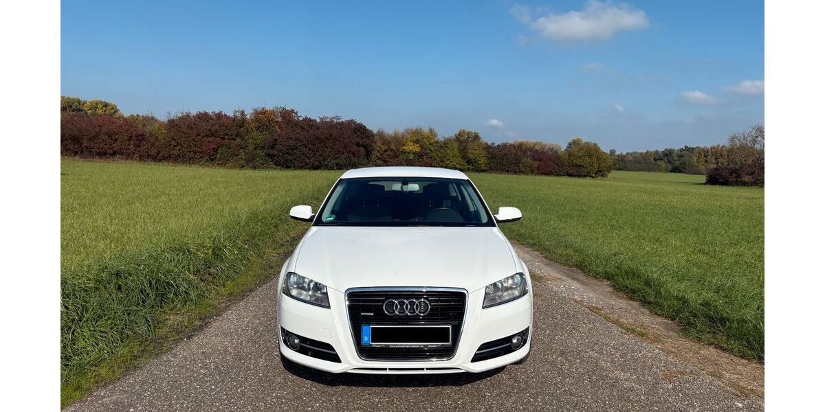 Audi A3 182.000 km 7.100 &euro; Oberhausen-Rheinhausen 68794
