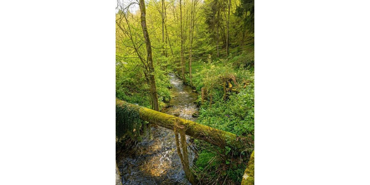 Gewerbeobjekt Wald-Michelbach Michelbach - 575&euro; | Angebot:25875592