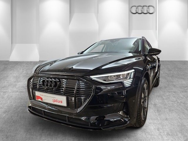Audi e-tron 31.828 km 49.970 &euro; Speyer 67346