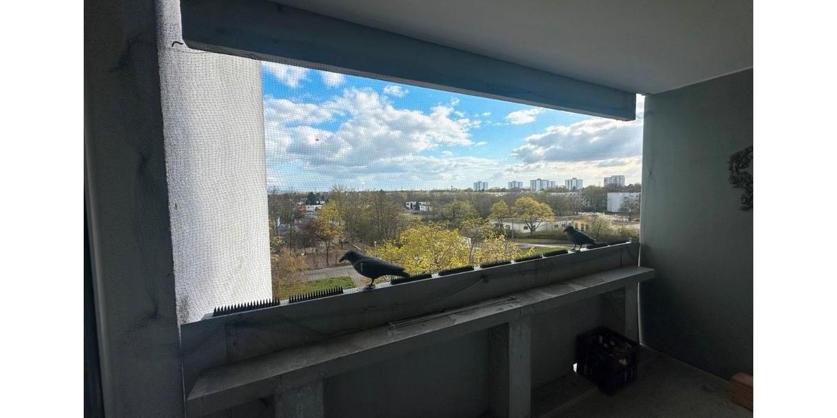 Etagenwohnung Mannheim Käfertal - 3 Zimmer, 79 m&sup2;, 220.000&euro; | Angebot:26960853