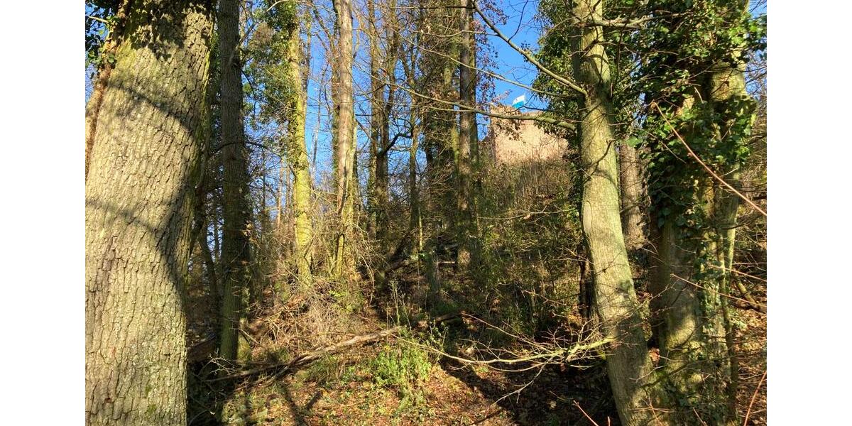 Grundstück Weinheim - 69.000&euro; | Angebot:23843184