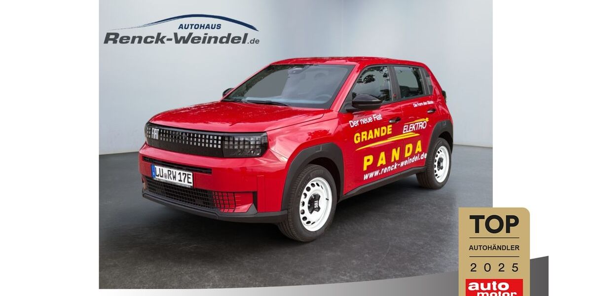 Fiat Grande Panda 2.818 km 22.789 &euro; Speyer 67346