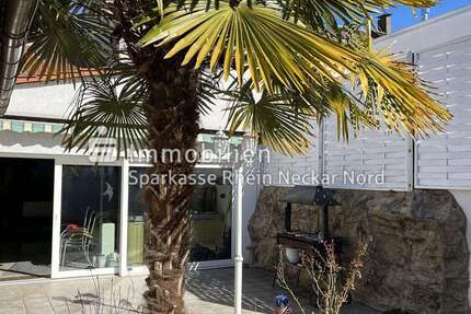 Haus zum Kaufen in Mannheim 449.000 € 140 m² 6 zimmer