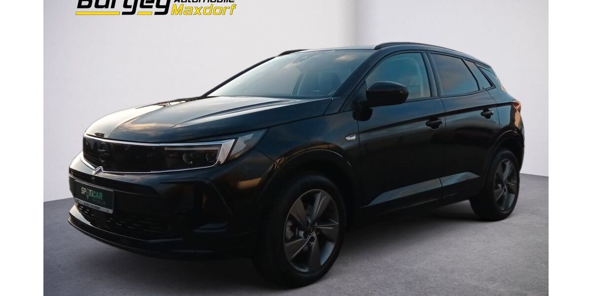 Opel Grandland (X) 9.000 km 23.930 &euro; Maxdorf 67133