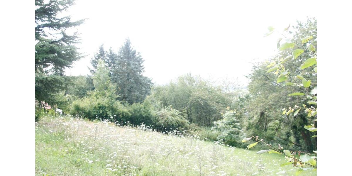 Einfamilienhaus Worms Nördliche Vororte - 4 Zimmer, 69 m&sup2;, 89.000&euro; | Angebot:26321924